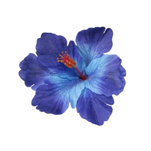 Blue Hibiscus Thumbnail