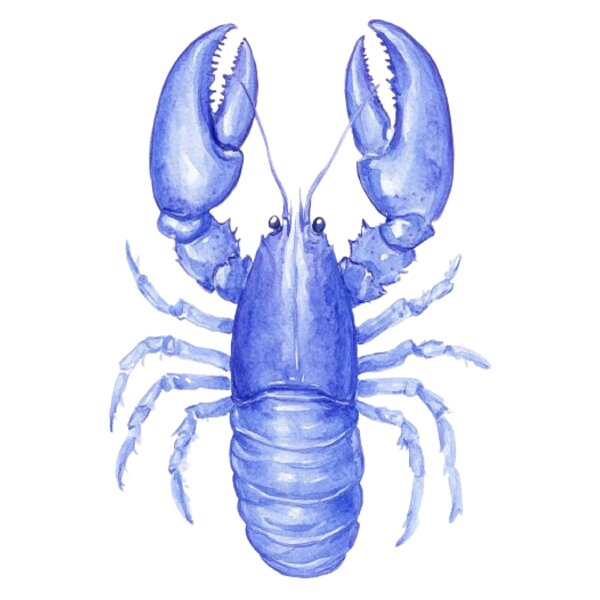 Blue Lobster Thumbnail