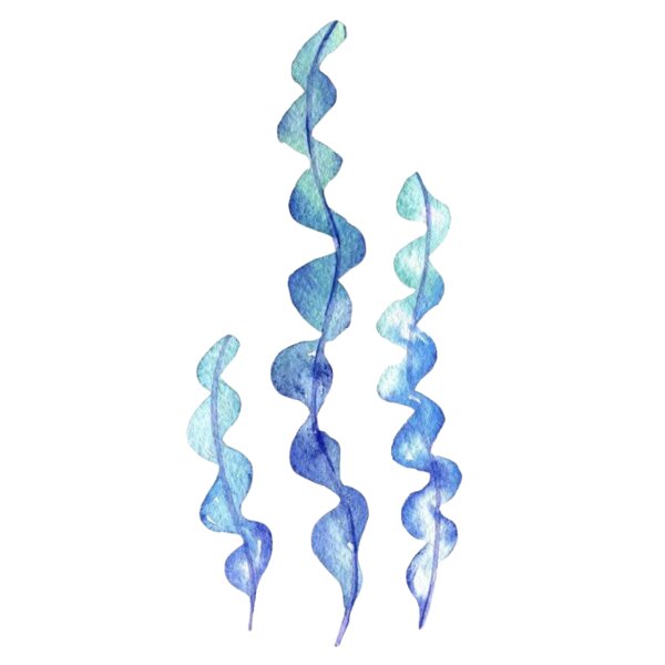 Blue Seaweed Thumbnail