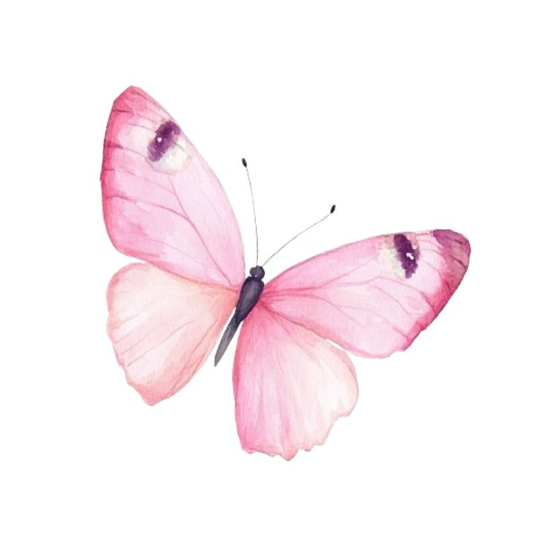 Butterfly Thumbnail