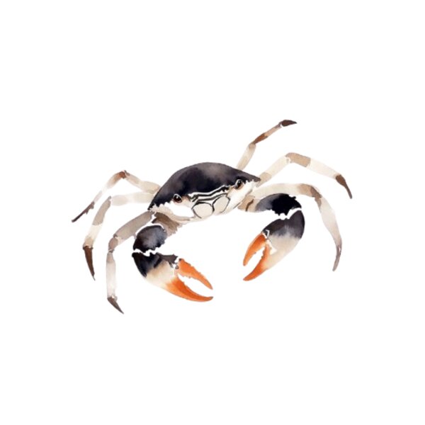 Crab Thumbnail