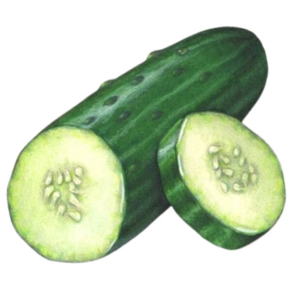 Cucumber Thumbnail