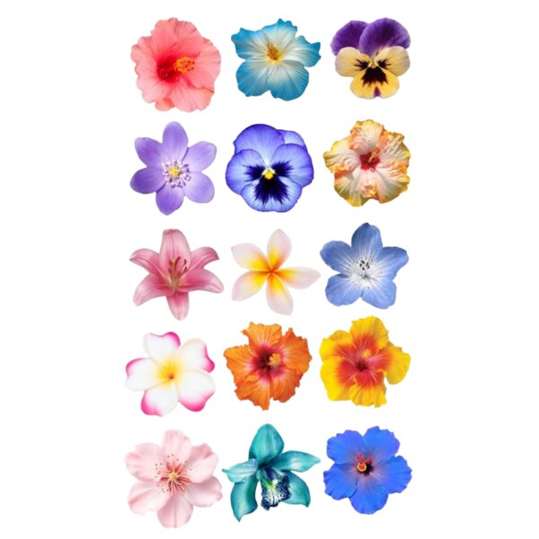 Flowers Set Thumbnail