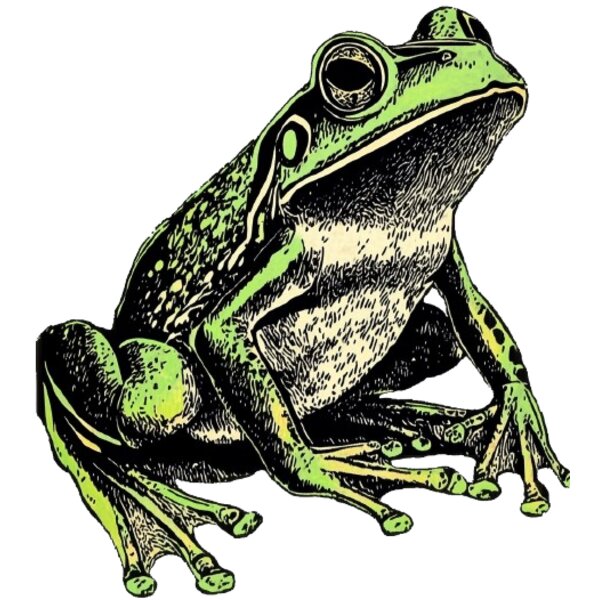 Frog Thumbnail