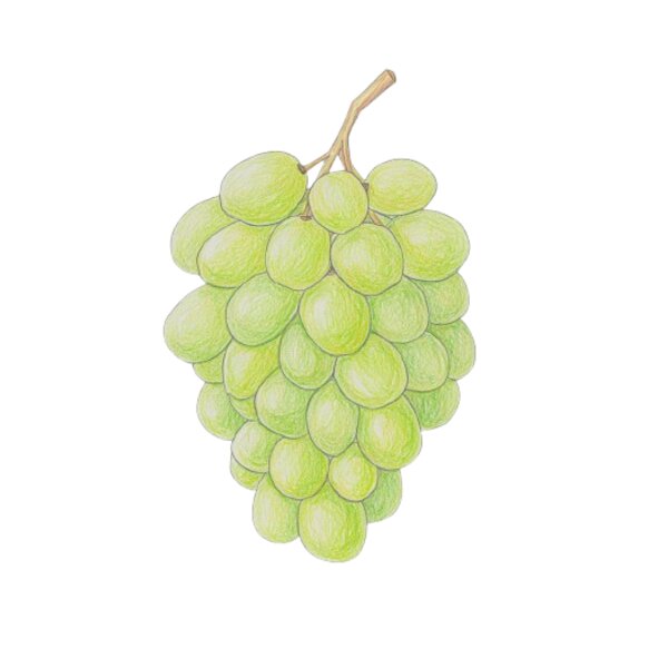 Green Grapes Thumbnail