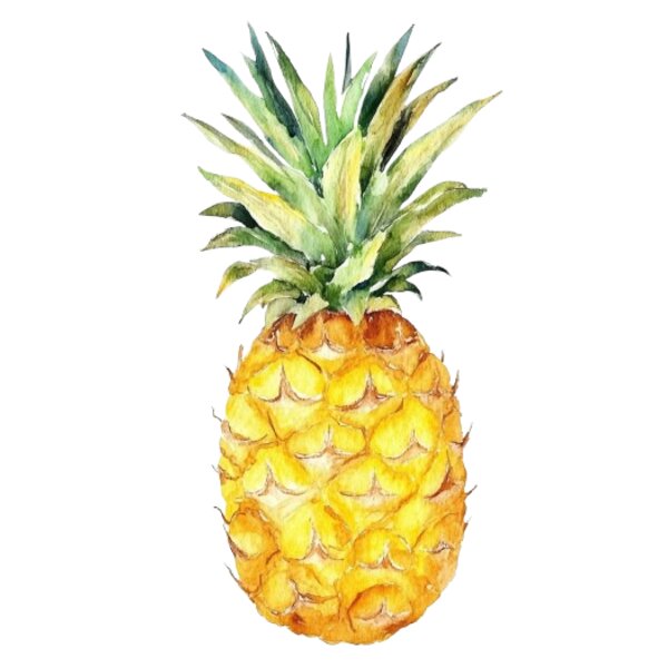 Pineapple Thumbnail