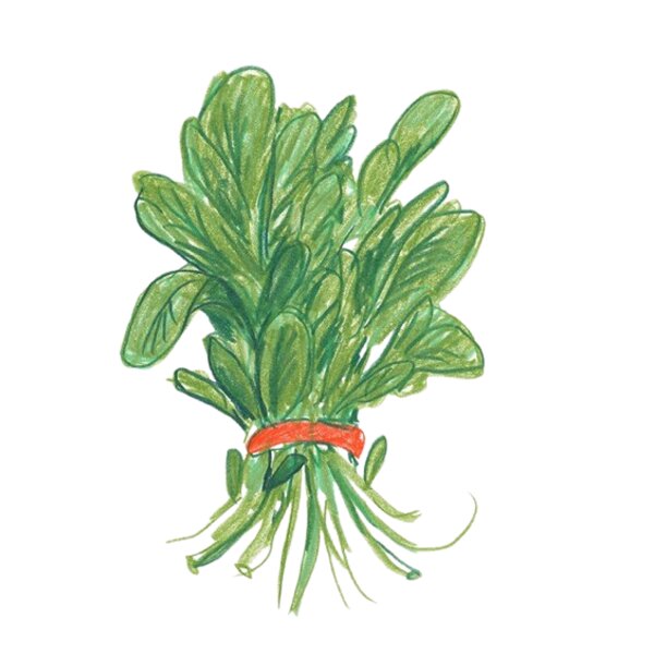 Spinach  1  Thumbnail