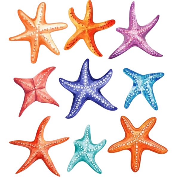 Starfish  1  Thumbnail