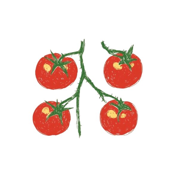 Vine Tomatoes Thumbnail